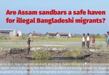 Are Assam sandbars a safe haven for illegal Bangladeshi migrants?