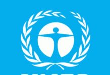 UNEP chief hails India’s efforts to use solar energy, curb plastics