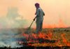 Stubble burning continues in Punjab, Haryana despite warnings