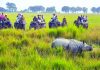 Kaziranga killings spark controversy