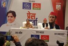 SP, BSP announce alliance for Lok Sabha elections, to contest 38 seats each in Uttar Pradesh