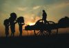 Expectations of rural voters belied