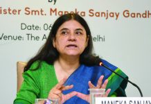 Environment ministry in tight spot over rift between Maneka and AWBI chief