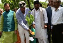 ‘School Nursery initiative is proposed to be launched soon’, says Prakash Javadekar on World Environment Day