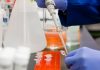 CSIR to repurpose Sepsivac drug to enhance innate immunity against COVID-19