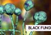 Telangana declares black fungus an epidemic