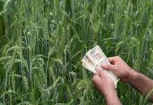 No proposal to consider waive farmer loans: Parliament