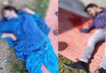 Principal, teacher shot dead by militants in Srinagar