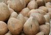 Cabinet approves Minimum Support Price (MSP) for Copra for 2022 season