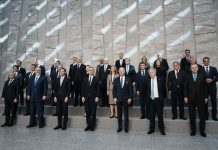 Dragon under NATO Scrutiny
