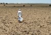 Water crisis: Haryana farmers may walk away from their farms