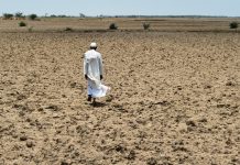 Water crisis: Haryana farmers may walk away from their farms