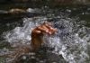 Two feared dead after being swept in river in Rajasthan