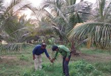 Curbing water usage in agriculture