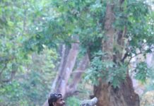 Saving the Bastar hill mynah