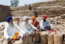 Punjab Government fully prepared for Wheat Procurement
