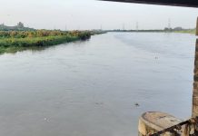 Yamuna touches danger mark in Delhi, also offers insight for revival