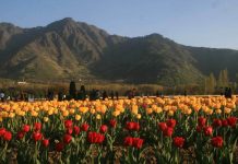14 tourist spots reopen in J&K after Pahalgam attack